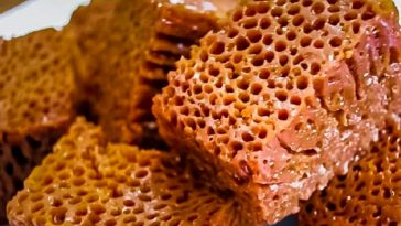 БАБКА НЯГРІ