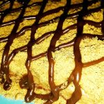 Супербюджетний торт «Таня» без випічки – простий рецепт за 10 хвилин!