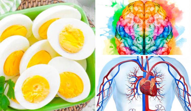 Їжте два яйця щоранку за цим рецептом – і ваш організм подякує вам дев’ятьма неймовірними змінами!