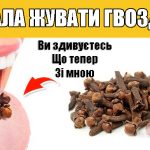 Жування Гвоздики Щодня: Маленька Звичка з Величезною Користю для Здоров'я