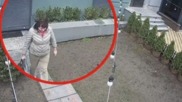 У Києві жінка намагалася викрасти кущі туї прямо з подвір’я. Вiдео…