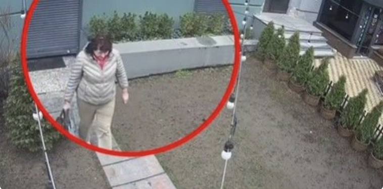 У Києві жінка намагалася викрасти кущі туї прямо з подвір’я. Вiдео…