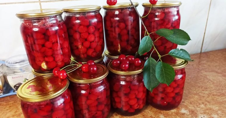 🔹 Перевірений рецепт вишні у власному соці: 20 років готую так — без зайвого цукру, натурально і смачно