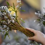 Вербна неділя 2025: що не можна робити у святий день, аби не накликати лиха