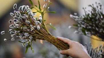 Вербна неділя 2025: що не можна робити у святий день, аби не накликати лиха