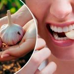 Щоденне вживання сирого часнику: природний спосіб підтримати здоров’я серця та знизити рівень холестерину