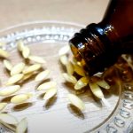 Насіння огірків проросте вже за кілька годин! У чому замочувати, щоб отримати міцну розсаду без хвороб