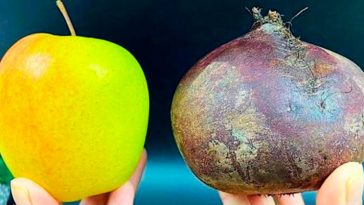 Салат із яблука та буряка: їм кожного вечора, а зранку знову хочеться