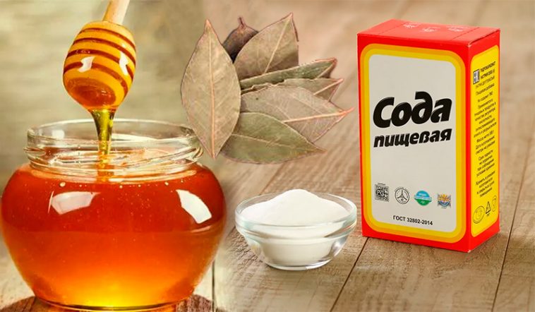 Ефективний народний рецепт від сухого кашлю: лавровий лист, мед і сода