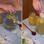 Домашній лимонад з цвіту бузини – натуральна освіжаюча насолода в кожному ковтку!