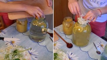 Домашній лимонад з цвіту бузини – натуральна освіжаюча насолода в кожному ковтку!