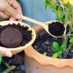 ☕ Кавова гуща — не сміття, а справжній скарб!