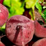 Секрет щедрого врожаю буряка – у прищипуванні!