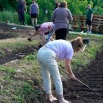 🌱 Коли після Великодня можна садити городину: що кажуть традиції та прикмети