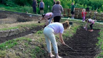 🌱 Коли після Великодня можна садити городину: що кажуть традиції та прикмети