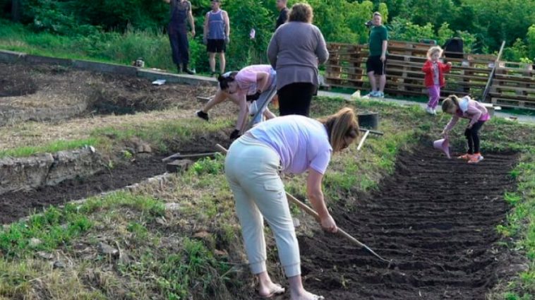 🌱 Коли після Великодня можна садити городину: що кажуть традиції та прикмети