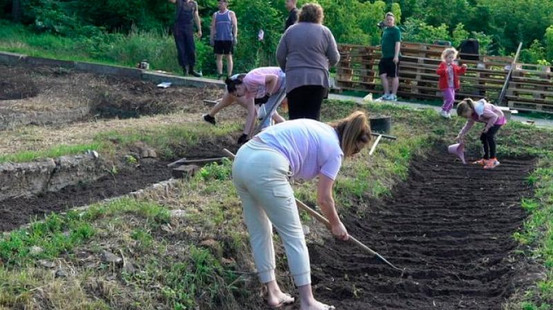 🌱 Коли після Великодня можна садити городину: що кажуть традиції та прикмети