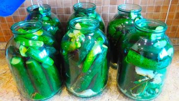 Миттєві малосольні огірки без мороки — рецепт від свекрухи за 15 хвилин! Холодний спосіб засолювання