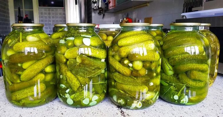 Бочкові огірки холодним способом: рецепт від тата, перевірений 30 роками!