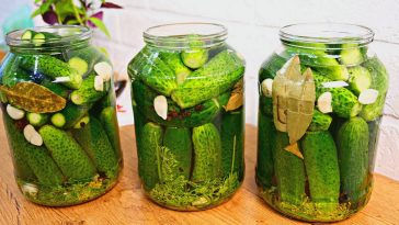 Секрет ідеальних квашених огірків: бочковий смак у банці!