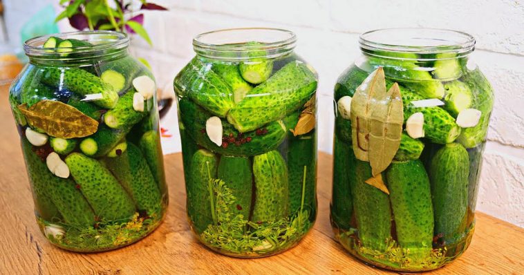 Секрет ідеальних квашених огірків: бочковий смак у банці!