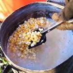 Надійний і недорогий спосіб позбутися медведки на городі назавжди