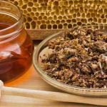 Прополіс – природний еліксир здоров’я. Як приготувати лікувальну настоянку в домашніх умовах