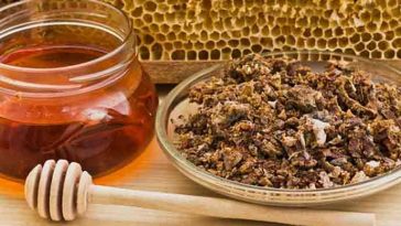 Прополіс – природний еліксир здоров’я. Як приготувати лікувальну настоянку в домашніх умовах