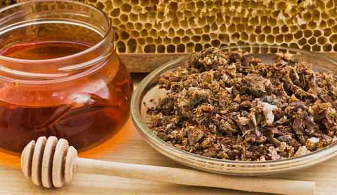Прополіс – природний еліксир здоров’я. Як приготувати лікувальну настоянку в домашніх умовах