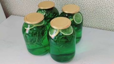 Готуємо не вперше! Ароматний та смачний напій, що нагадує “Мохіто”