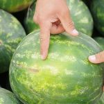 Як розпізнати нітрати в кавуні: прості способи перевірки вдома і при покупці