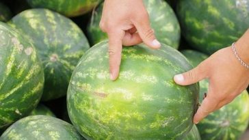 Як розпізнати нітрати в кавуні: прості способи перевірки вдома і при покупці