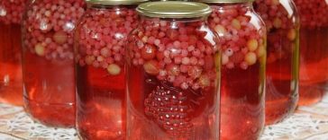 Компот із смородини та агрусу на зиму – покроковий рецепт