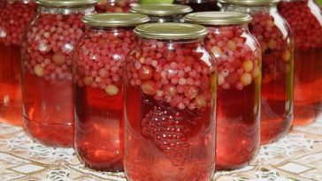 Компот із смородини та агрусу на зиму – покроковий рецепт