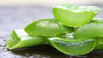 11 вагомих причин пити воду з алое вера щодня