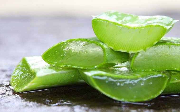 11 вагомих причин пити воду з алое вера щодня