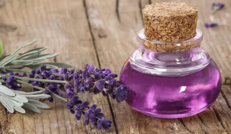 Лаванда в маслі: сильніша за будь-які ліки