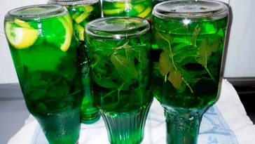 Домашній мохіто на зиму — готую одразу 6 літрів! З м’ятою або мелісою — смачно, ароматно, освіжаюче