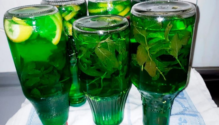 Домашній мохіто на зиму — готую одразу 6 літрів! З м’ятою або мелісою — смачно, ароматно, освіжаюче