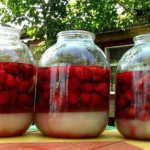 Ідеальна ягідна наливка: по 4 склянки ягід, цукру, води і горілки — найсмачніший результат!