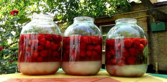 Ідеальна ягідна наливка: по 4 склянки ягід, цукру, води і горілки — найсмачніший результат!