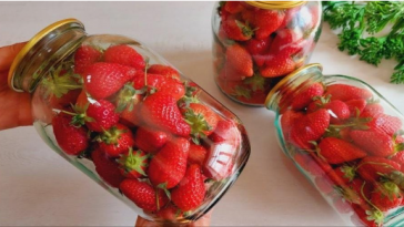 Унікальний спосіб заготівлі полуниці без варіння та заморожування: зберігається до року!