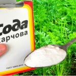 Незамінна на городі: як використовувати харчову соду з користю