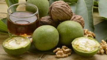 Зелені волоські горіхи з медом — народний еліксир здоров’я, перевірений поколіннями