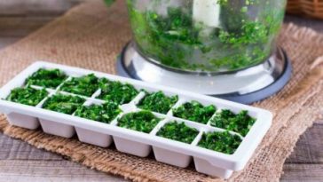 5 перевірених способів зберігання зелені на цілий рік: взимку не купую жодного пучка!