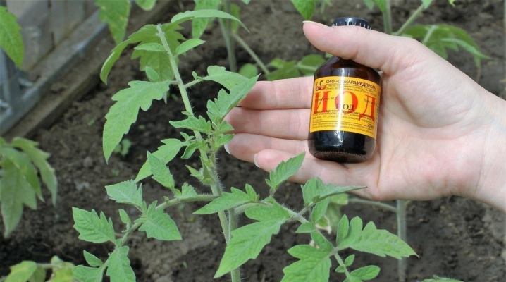 Йод, молоко та борна кислота: як досвідчені городники підживлюють помідори без хімії