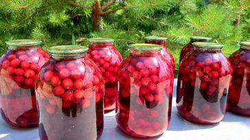 Спробувала десятки рецептів, але залишилася вірною найпростішому: без стерилізації, смачно й легко