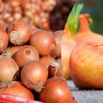 Що робити, якщо цибуля почала псуватись під час зберігання: корисні поради для господинь