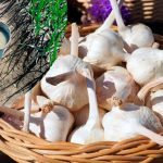 Чим підживити часник за місяць до збирання, щоб головки стали більшими