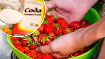 Навіщо мити полуницю з содою і як робити це правильно